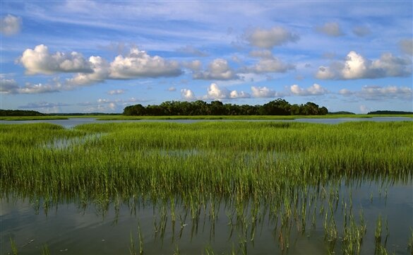 Hilton Head Rentals Hilton Head vacation rental