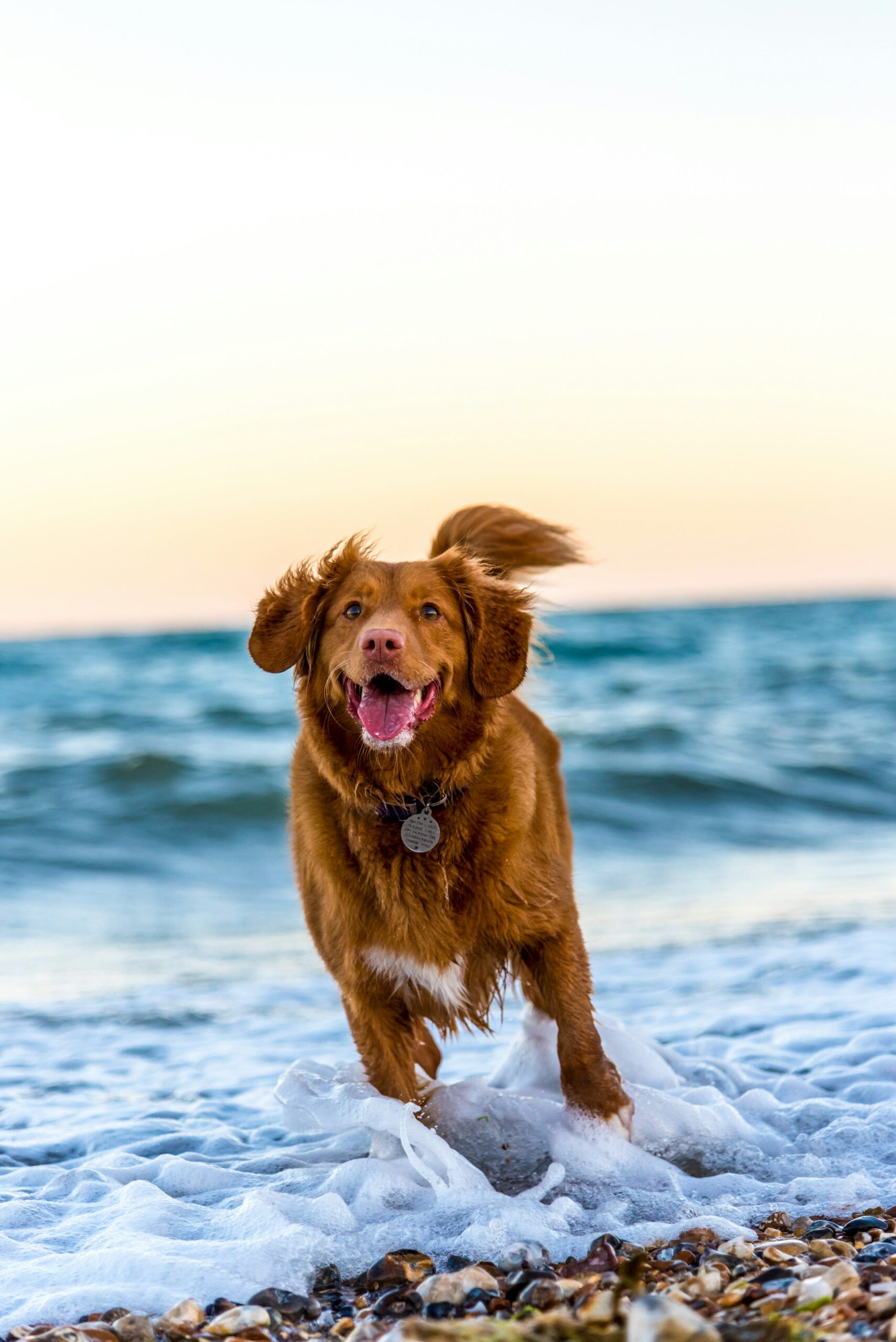Host HHI Hilton Head vacation rental